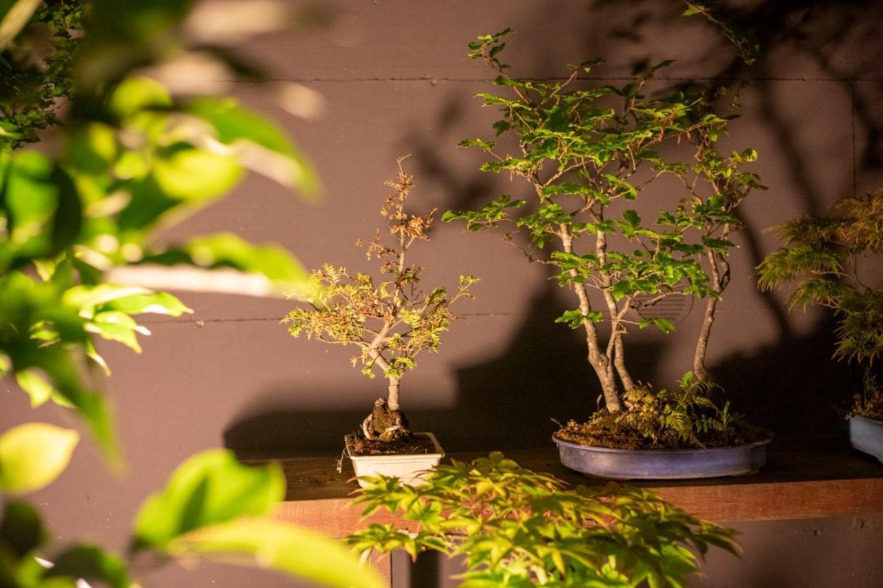 Apartament Il Giardino Segreto Carbognano Zewnętrze zdjęcie