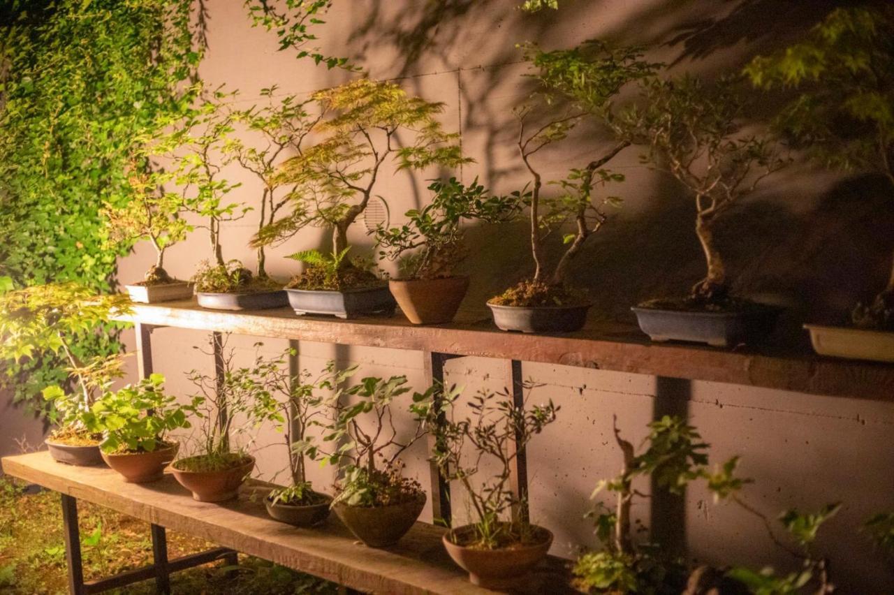 Apartament Il Giardino Segreto Carbognano Zewnętrze zdjęcie
