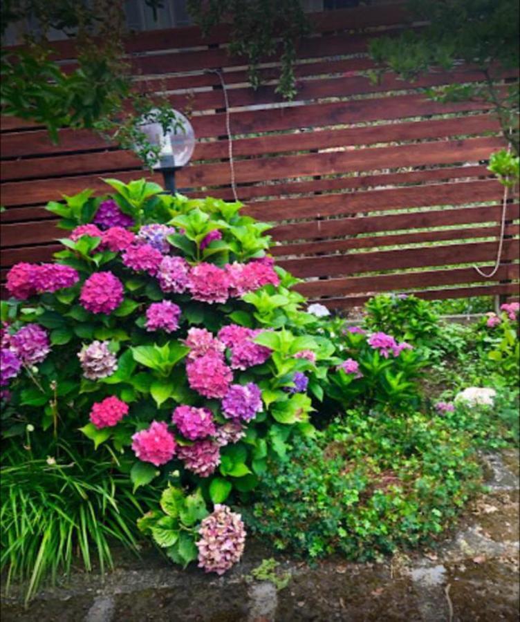 Apartament Il Giardino Segreto Carbognano Zewnętrze zdjęcie