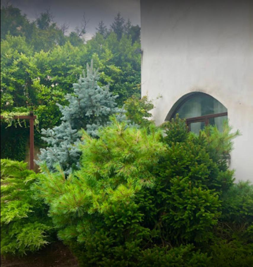 Apartament Il Giardino Segreto Carbognano Zewnętrze zdjęcie